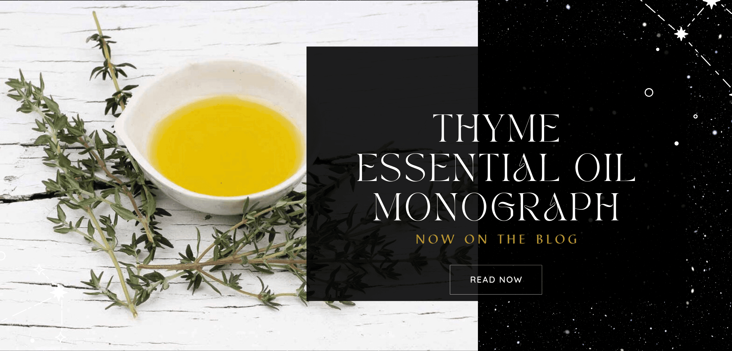 Thyme Thymus Vulgaris Essential Oil Monograph... Alchemyst LLC