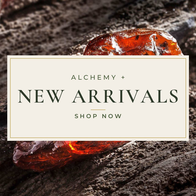 Newest Products
