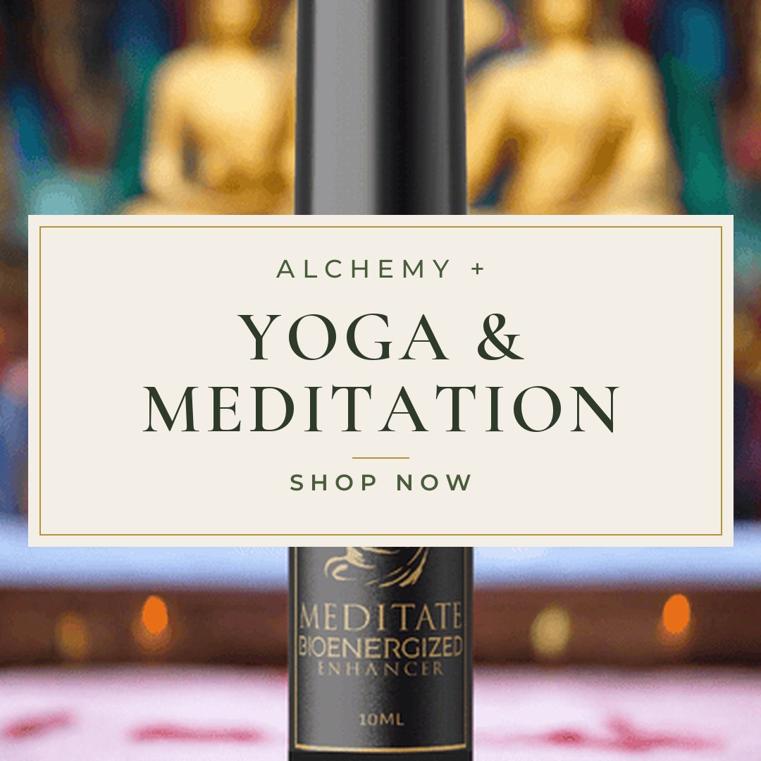 Yoga & Meditation