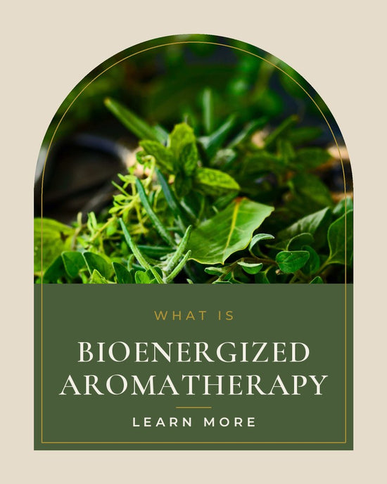 What Is Bioenergized Aromatherapy guide
